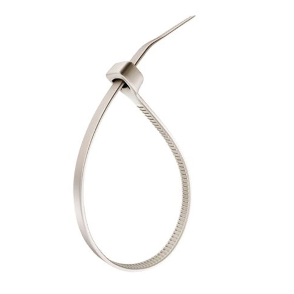 Abracadeira Nylon 2,5x100 100Und Natural- Sfor